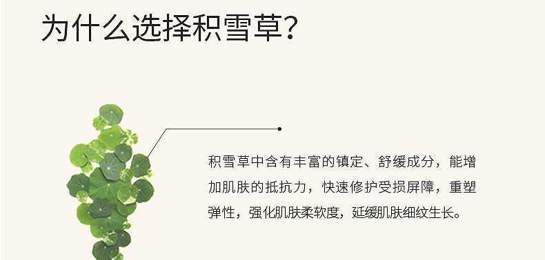 广州积雪草修护原液代加工厂-面部精华保湿补水滋润修护原液专用