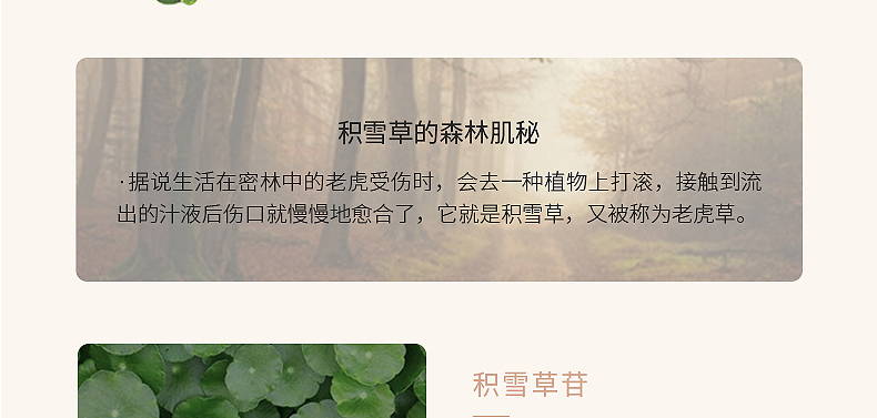 广州积雪草修护原液代加工厂-面部精华保湿补水滋润修护原液专用