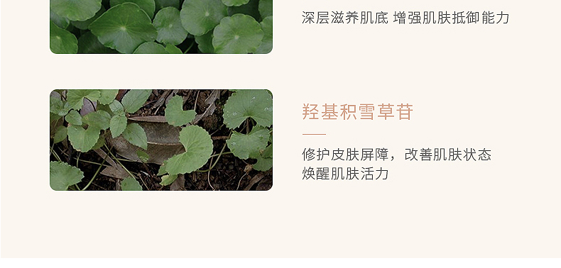 广州积雪草修护原液代加工厂-面部精华保湿补水滋润修护原液专用