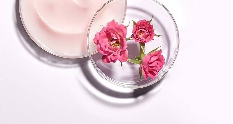 玫瑰精华身体乳oem代加工厂家-深层滋润去鸡皮全天候补水保湿男女