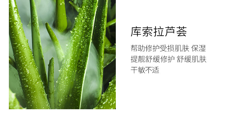 粉底液oem代加工厂家-持久保湿遮瑕控油BB霜抖音网红同款